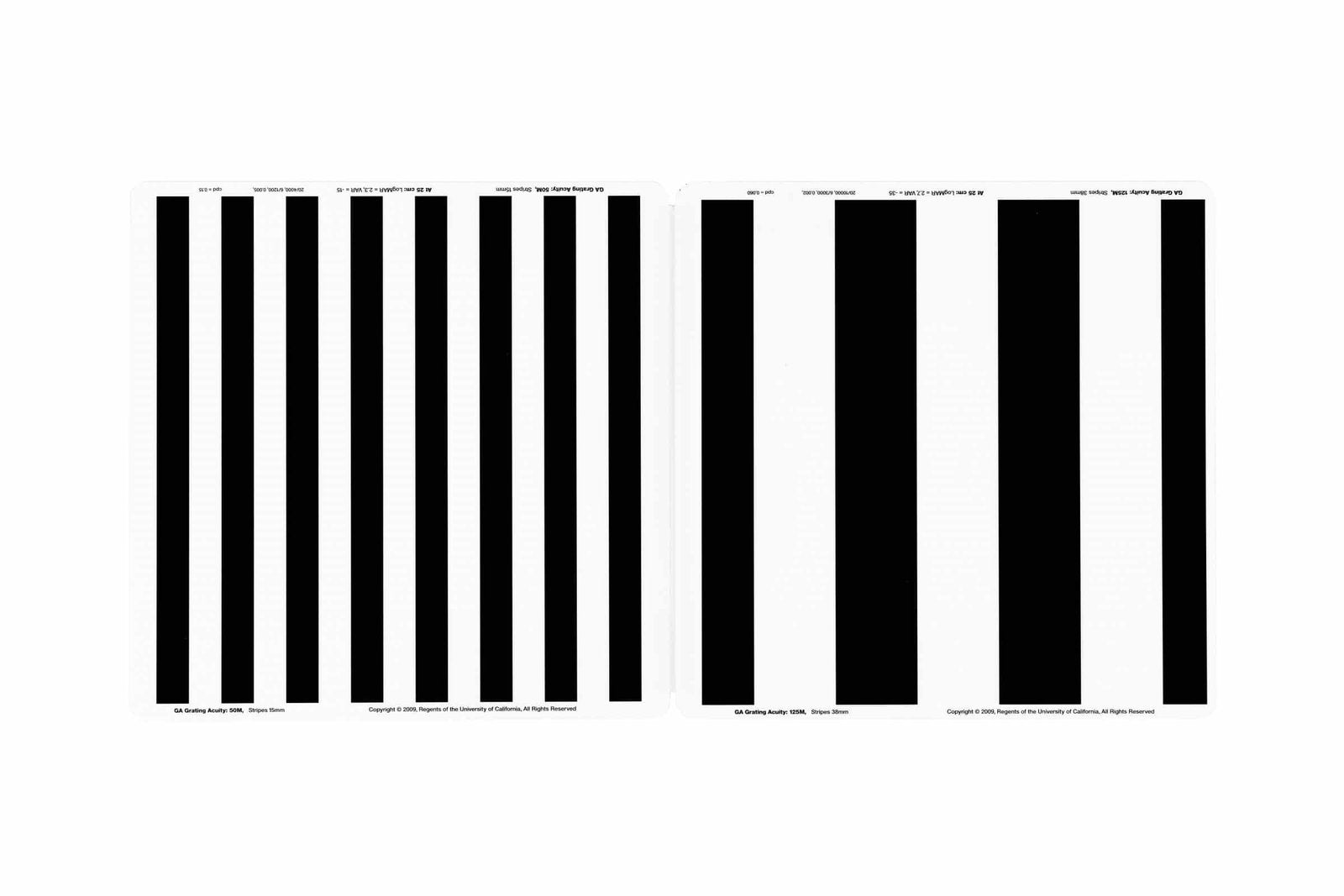 BRVT The Berkeley Rudimentary Vision Test