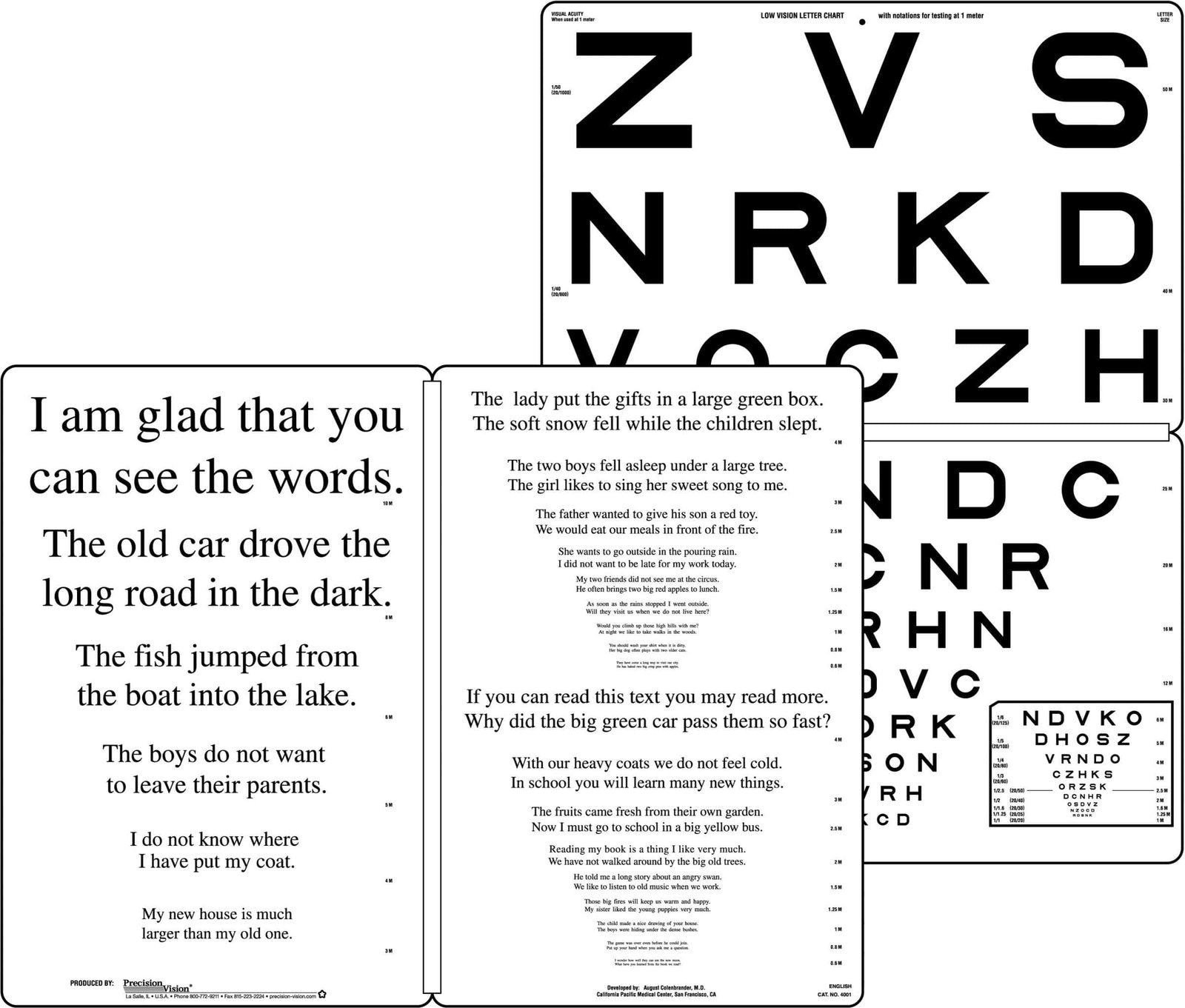 Low Vision Letter Chart - In Multiple Languages