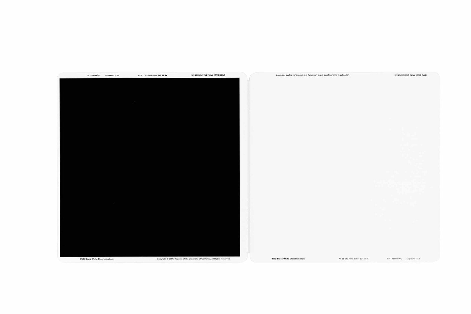 BRVT The Berkeley Rudimentary Vision Test