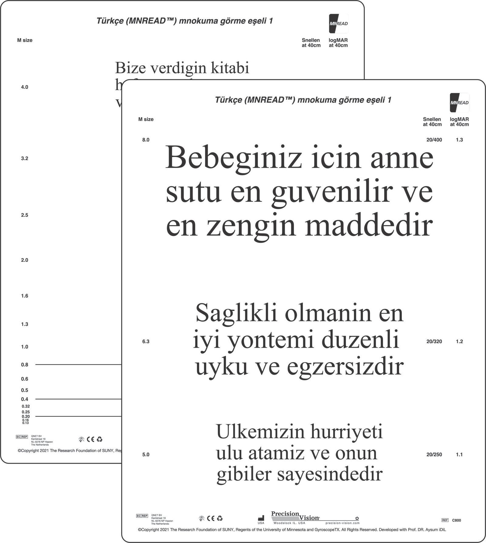 MNRead Chart - In Multiple Languages