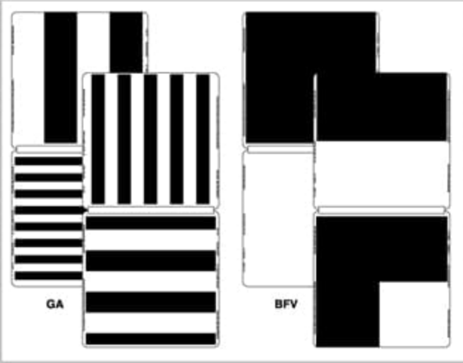 Berkeley Rudimentary Vision Test | Ian Baily - Precision Vision