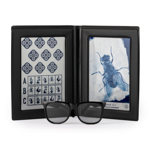 What is Stereo Vision Screening and What Are the Different Types of St