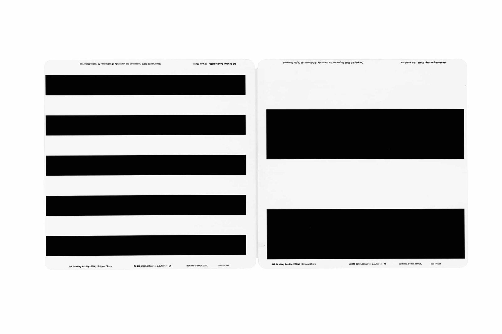 BRVT The Berkeley Rudimentary Vision Test