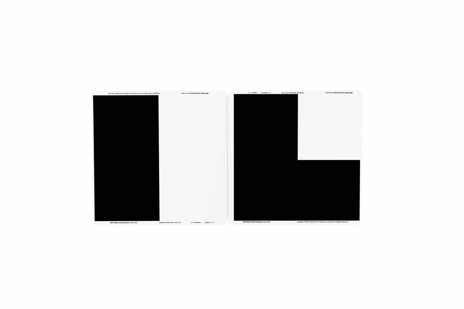 BRVT The Berkeley Rudimentary Vision Test