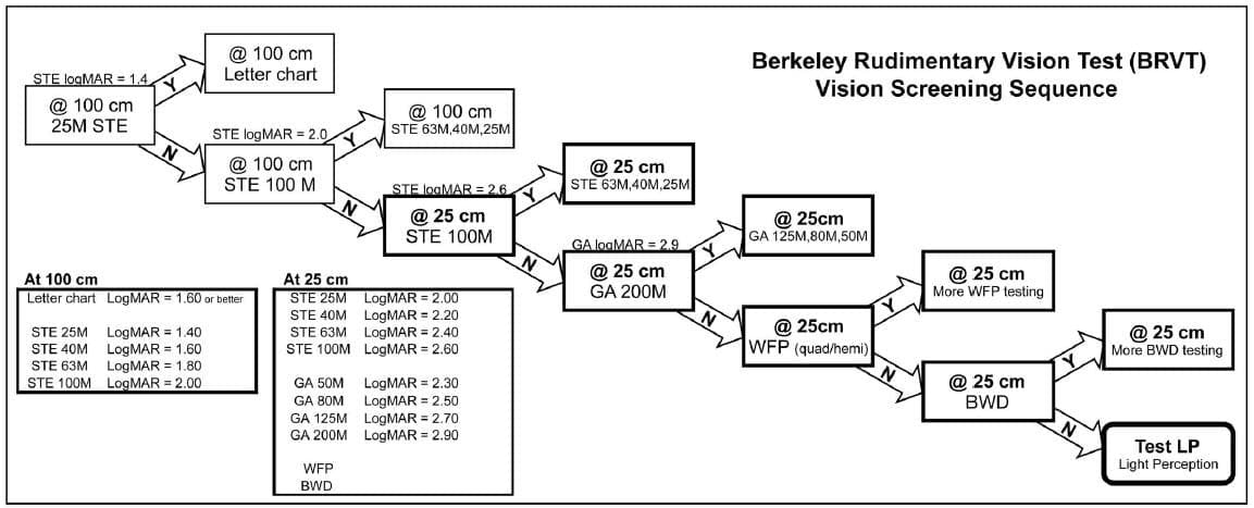 BRVT The Berkeley Rudimentary Vision Test