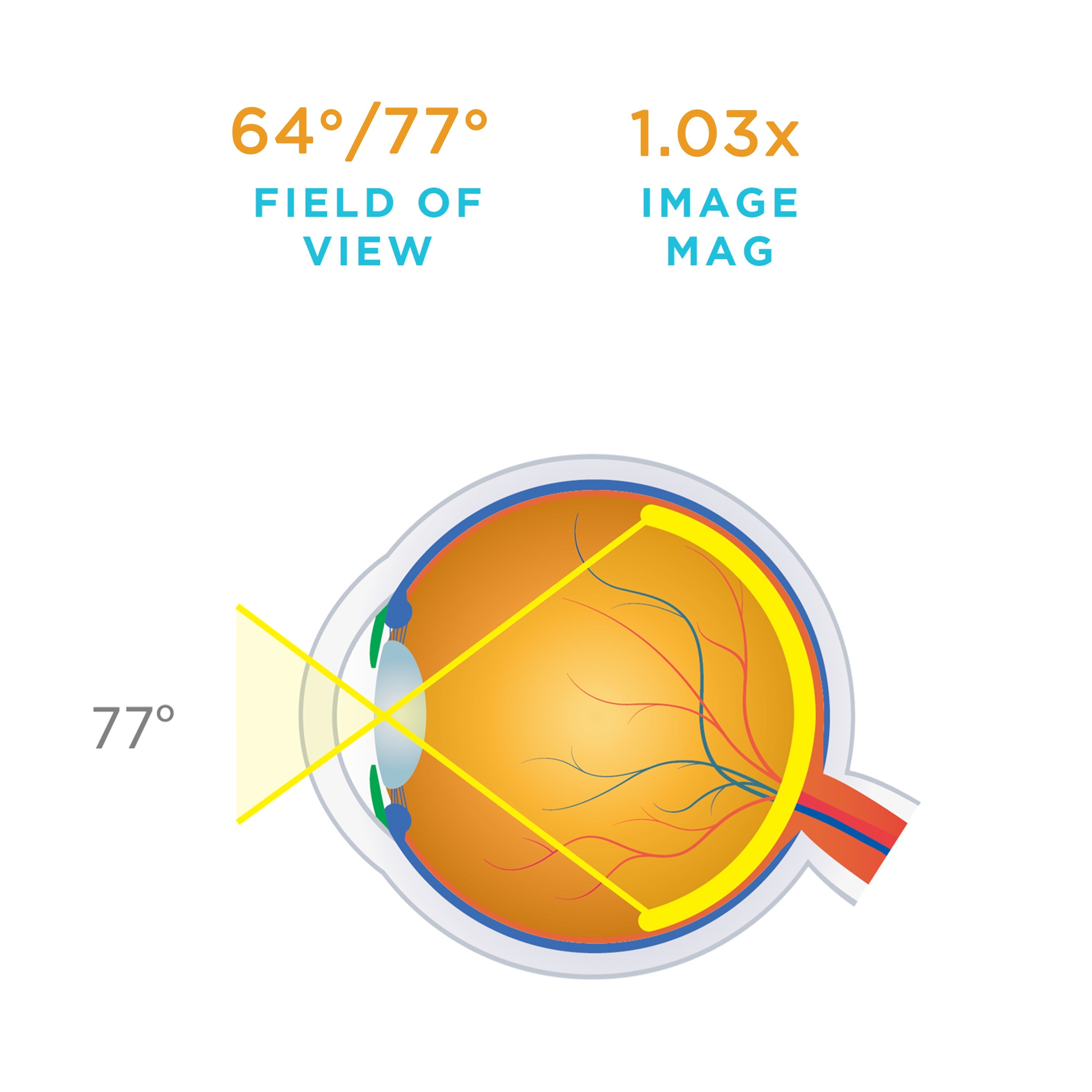 Super Macula® — manufacturer image