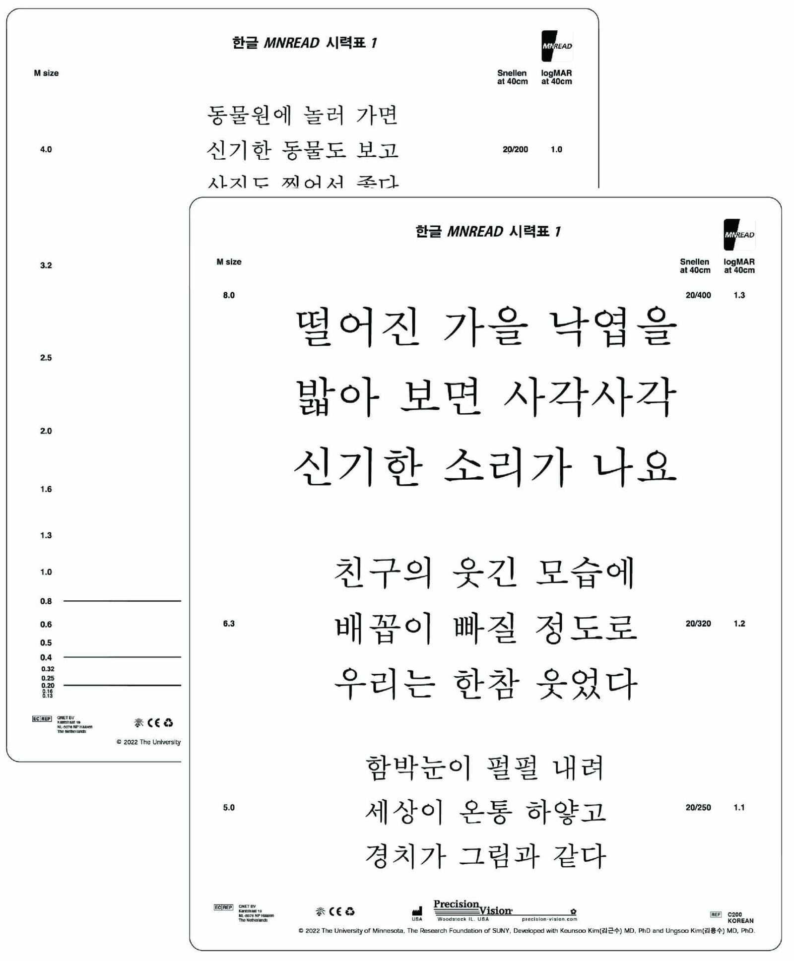 MNRead Chart - In Multiple Languages