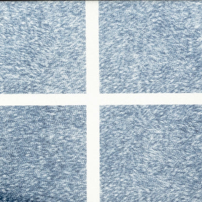 Randot Stereo Test