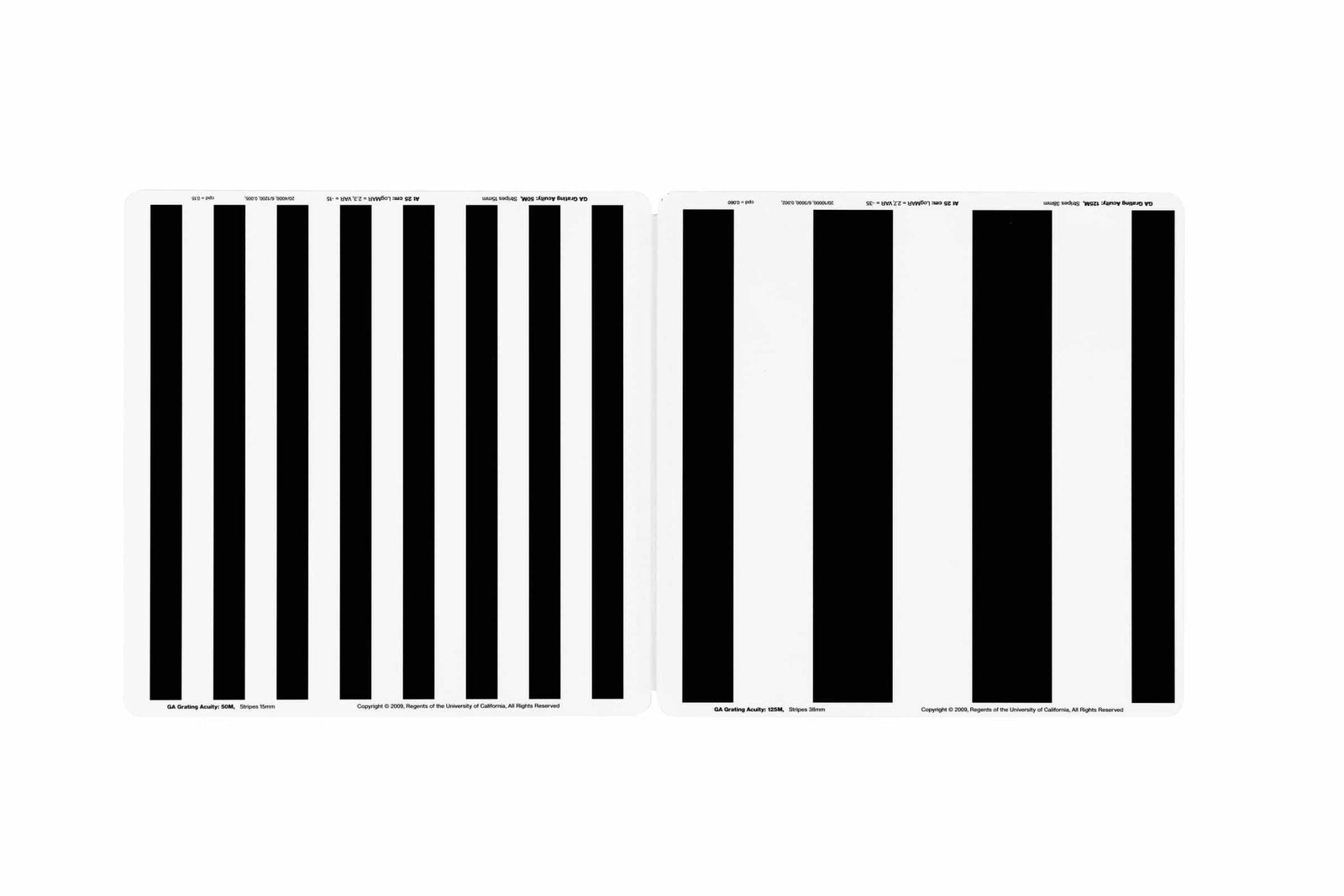 BRVT The Berkeley Rudimentary Vision Test